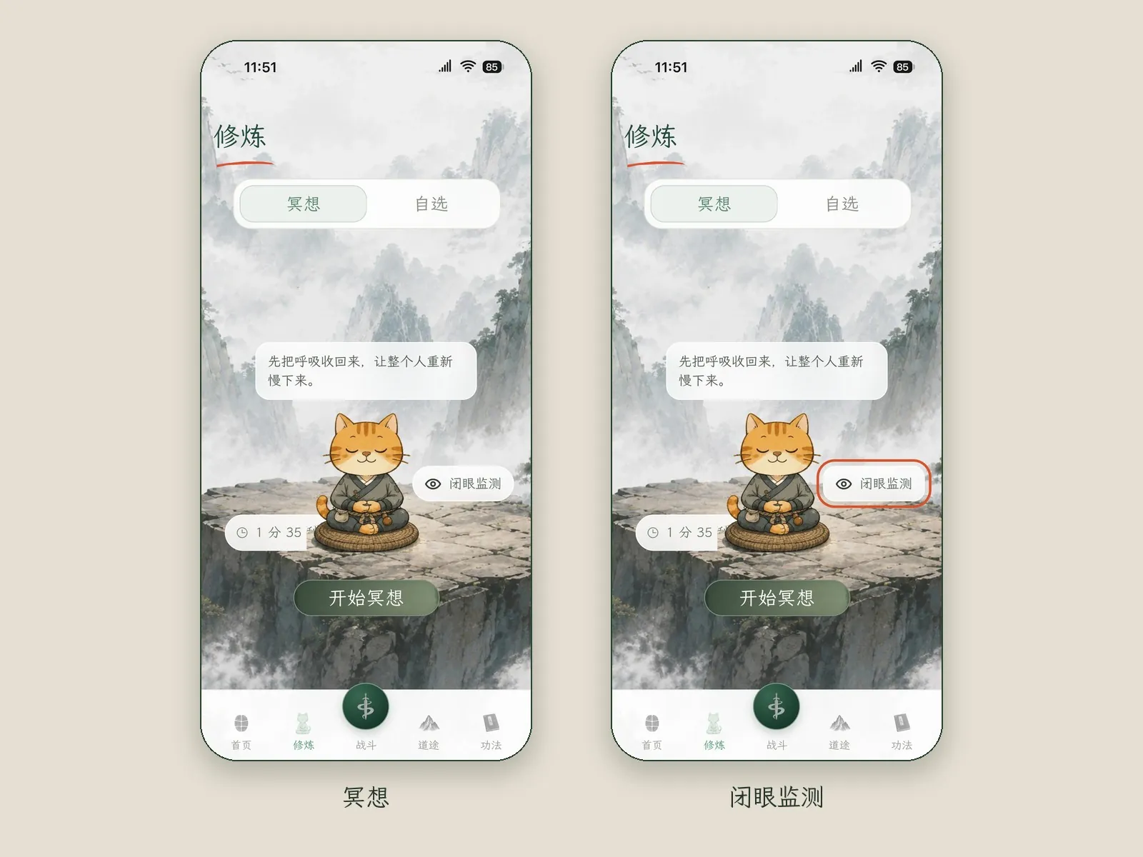 两张修炼页画面:橘猫在山崖上打坐,下面是「开始冥想」按钮;右边一张圈出了「闭眼监测」开关
