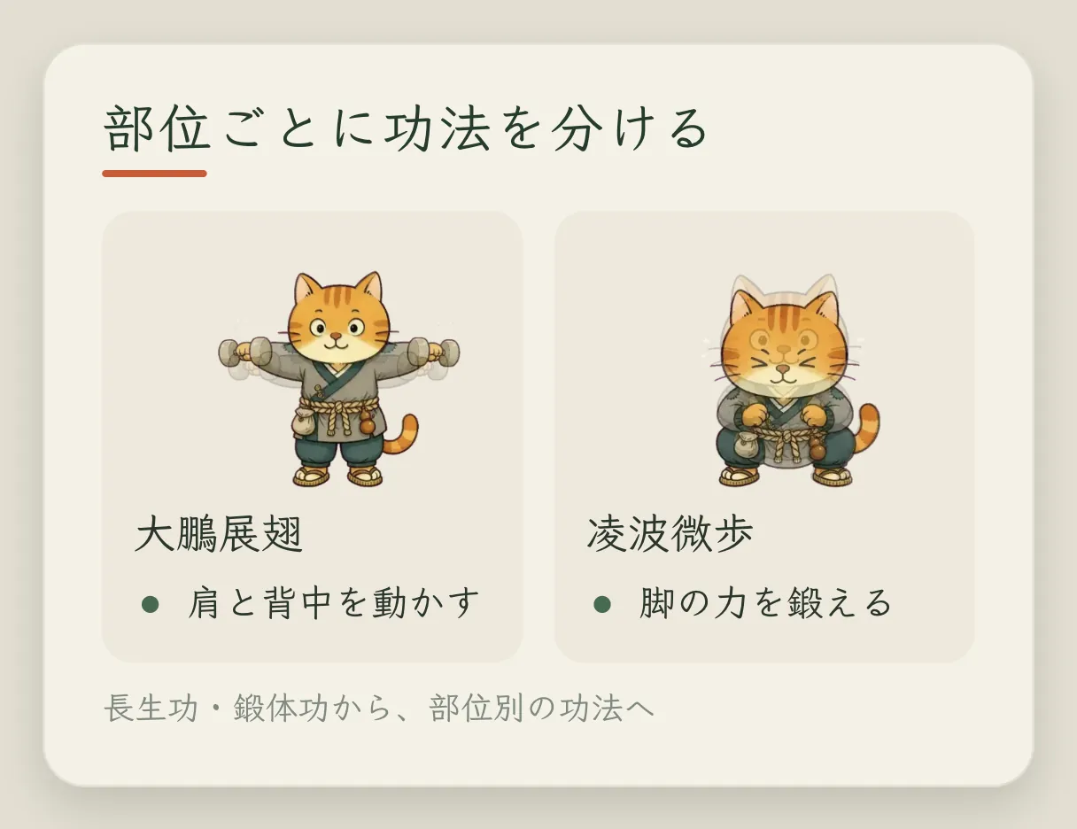 コンセプトカード「功法をもっと細かく分ける」:大鵬展翅は肩と背中、凌波微歩は脚の力を鍛える。長生功と鍛体功だけではなくなり、部位別に分かれた